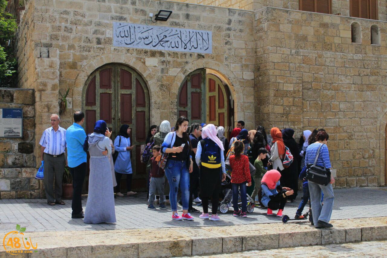 ter3an yaffaj3 (6).jpg